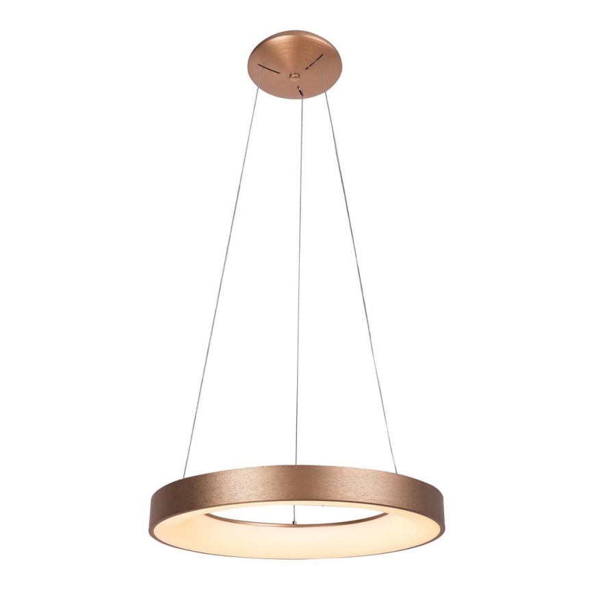 Rabalux - LED Hanglamp aan koord CARMELLA LED/80W/230V
