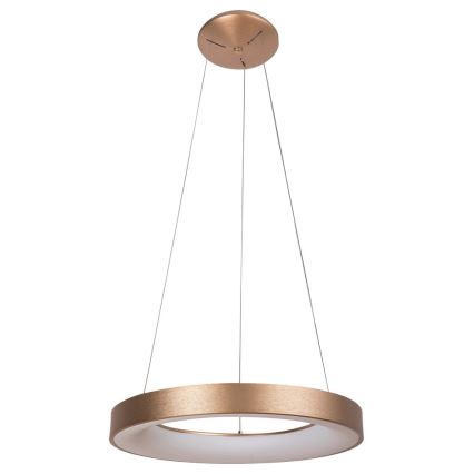 Rabalux - LED Hanglamp aan koord CARMELLA LED/80W/230V