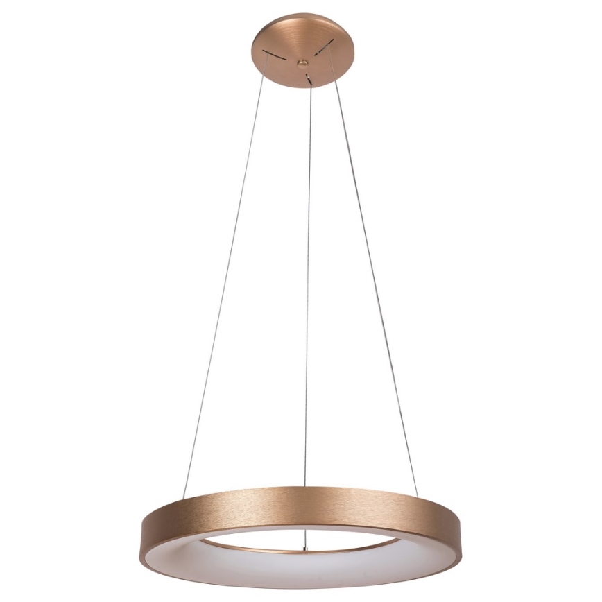 Rabalux - LED Hanglamp aan koord CARMELLA LED/80W/230V