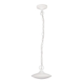 Rabalux - LED Hanglamp voor buiten 1xLED/6W IP54