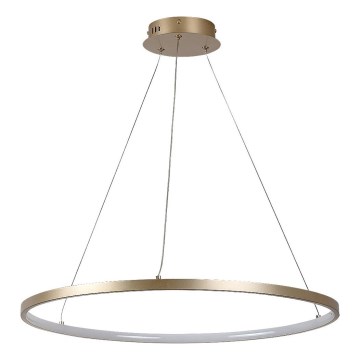 Rabalux - LED-kroonluchter met kabel LED/55W/230V 3000K