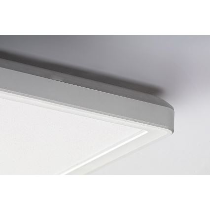 Rabalux - LED Paneel voor oppervlakte montage LED/22W/230V