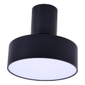 Rabalux - LED Plafondlamp LED/16W/230V 3000K zwart