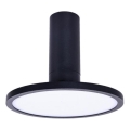 Rabalux - LED Plafondlamp LED/20W/230V 3000K zwart