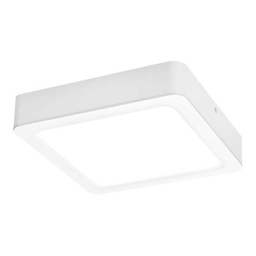 Rabalux - LED Plafondlamp LED/24W/230V 22x22 cm
