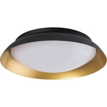 Rabalux - LED Plafondlamp LED/24W/230V 3000K diameter 40 cm