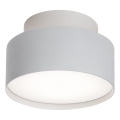 Rabalux - LED Plafondlamp LED/24W/230V 3000K wit