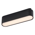 Rabalux - LED Plafondlamp voor 1-fase railsysteem LED/6W/230V 3000K 11,5 cm zwart