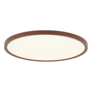 Rabalux - LED plafondlamp voor de badkamer, 24W, 230V, keuze uit 3000/4000/6000K, Ø 40 cm, IP44, bruin