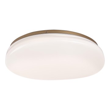 Rabalux - LED-plafondlamp voor de badkamer LED/24W/230V IP44 Ø 41 cm