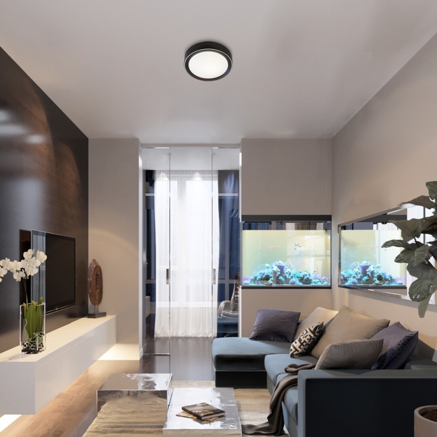 Rabalux - LED RGB dimbare plafondlamp LED/24W/230V 3000-6000K + afstandsbediening