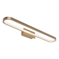 Rabalux - LED-spiegelverlichting voor de badkamer LED/18W/230V IP44 60 cm