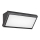 Rabalux - LED Wandlamp voor buiten LED/12W/230V IP54
