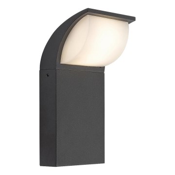 Rabalux - LED Wandlamp voor buiten LED/9W/230V IP65