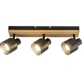 Rabalux - Luminaire à spots 3x E14/10 W/230 V