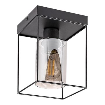 Rabalux - Plafondlamp 1xE27/25W/230V 15x15 cm