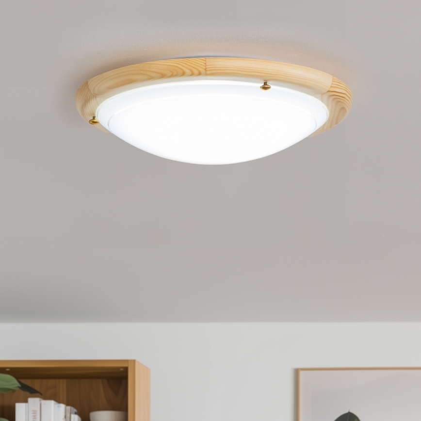 Rabalux - Plafondlamp 1xE27/60W/230V