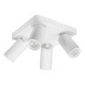 Rabalux - Plafondspot 4xGU10/7W/230V wit