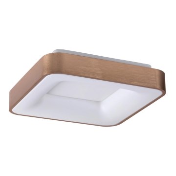 Rabalux - Plafonnier CARMELA LED/30W/230V 40x40 cm