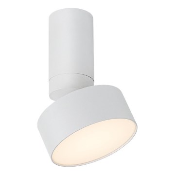 Rabalux - Plafonnier LED/10W/230V 3000K blanc