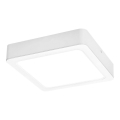 Rabalux - Plafonnier LED/18W/230V 17x17 cm
