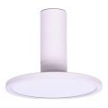 Rabalux - Plafonnier LED/20W/230V 3000K blanc