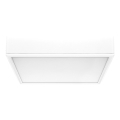 Rabalux - Plafonnier LED/22W/230V 3000/4000/6000K 21x21 cm blanc