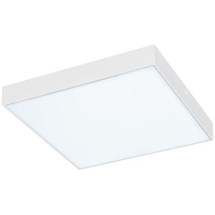 Rabalux - Plafonnier LED LED/24W/230V 2800-6000K IP44 blanc 30x30 cm