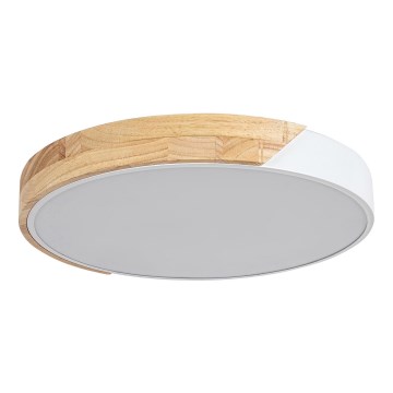 Rabalux - Plafonnier LED/24W/230V blanc