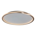 Rabalux - Plafonnier LED/40W/230V d. 56 cm doré