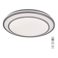 Rabalux - Plafonnier LED à intensité variable LED/40W/230V 3000-6500K argenté + télécommande