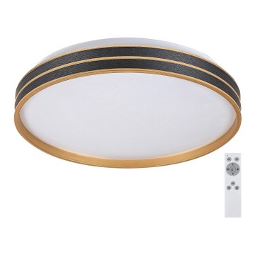 Rabalux - Plafonnier LED dimmable LED/24W/230V 3000-6500K Ø 39 cm + télécommande