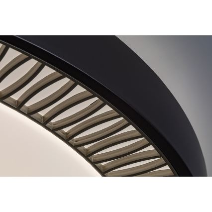 Rabalux - Plafonnier LED dimmable LED/40W/230V + télécommande 3000-6000K Ø 50 cm