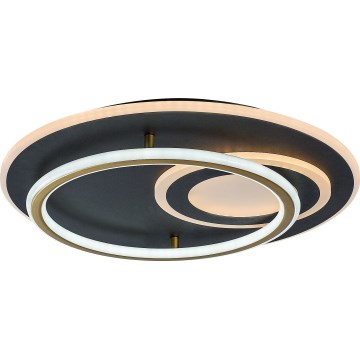 Rabalux - Plafonnier LED dimmable LED/60W/230V 3000-6000K Ø 50 cm + télécommande