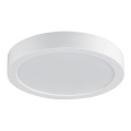 Rabalux - Plafonnier LED pour salle de bains, 24 W (230 V), Ø 22 cm, IP44, blanc