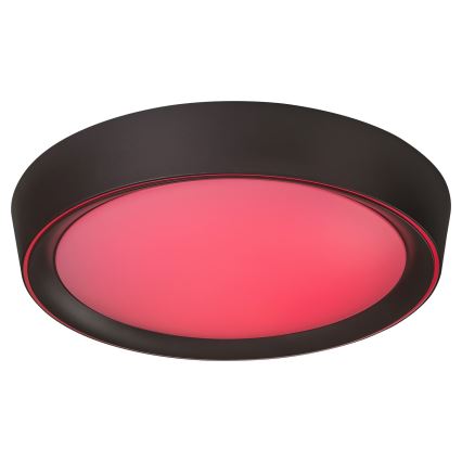 Rabalux - Plafonnier LED RGB à intensité variable LED/24W/230V + télécommande 3000-6000K