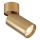 Rabalux - Spot 1xGU10/5W/230V goud