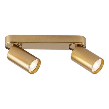Rabalux - Spot 2xGU10/5W/230V goud