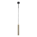Rabalux - Suspension filaire LED/10W/230V 4000K noir/doré