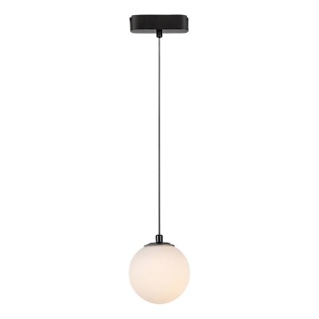 Rabalux - Suspension filaire pour système de rail monophasé LED/5W/230V 3000K noir