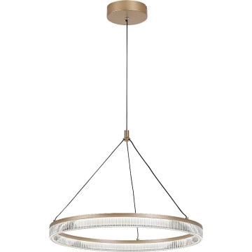 Rabalux - Suspension LED à intensité variable sur câble LED/24W/230V 3000-6500K + télécommande