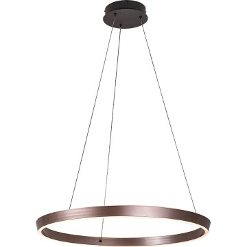 Rabalux - Suspension LED dimmable sur câble LED/36W/230V 3000–6500K + télécommande