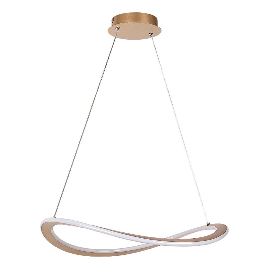 Rabalux - Suspension LED sur câble LED/40W/230V 3000K