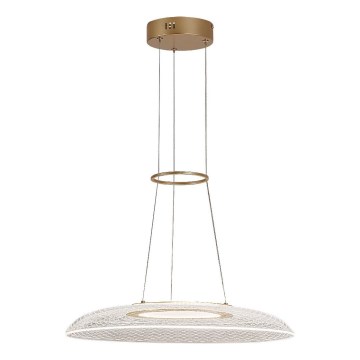 Rabalux - Suspension sur câble LED/24W/230V 3000K