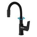 RAV Slezák CO119.0/16 - Mitigeur pour évier COLORADO 25 cm à bec flexible avec douchette, noir