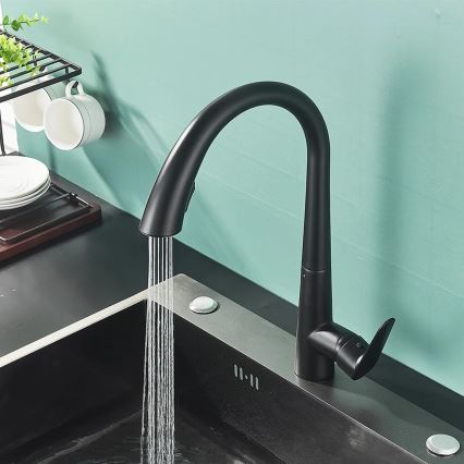 REA-B5313 - Keukenkraan met uittrekbare sproeikop ROSS 43 cm zwart