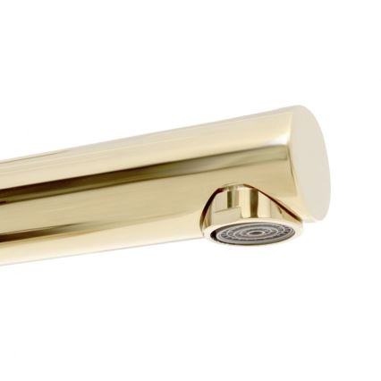 REA-B8803 - Gouden wastafelkraan TESS 31,5 cm