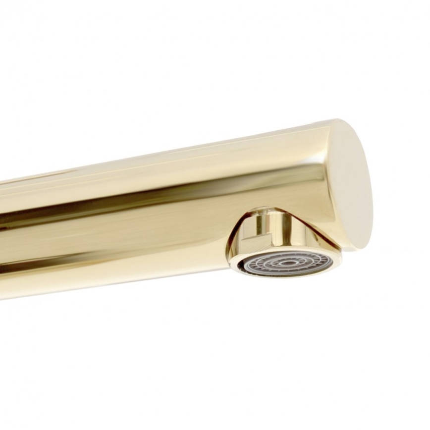 REA-B8803 - Gouden wastafelkraan TESS 31,5 cm