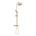 REA-P2323 - Doucheset PAROT met thermostaatkraan, geborsteld goud