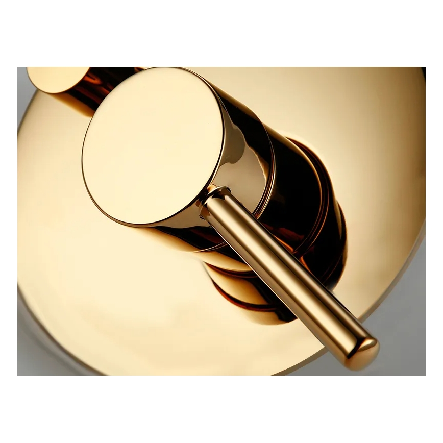 REA-P4110 - Doucheset met inbouwmengkraan LUNGO, goud